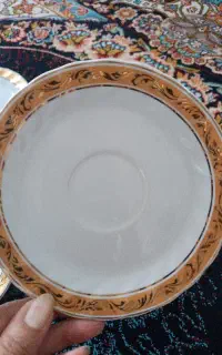 نلبکی ۶عدد نو