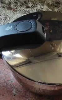 زودپز پرفکت نو