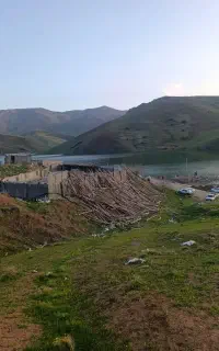 پاکوتا فیندو ماده یک ساله ادمگیر دهن پاک