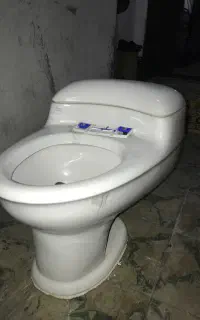 توالت فرهنگی