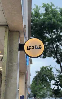 حسابدار حرفه ای