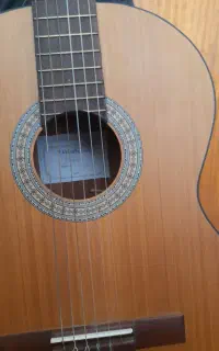 گیتار دالاهو