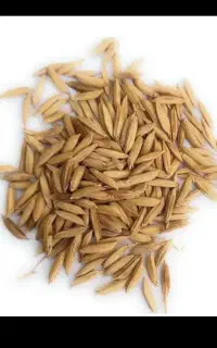 چلتیک چیتاب خوش طعم