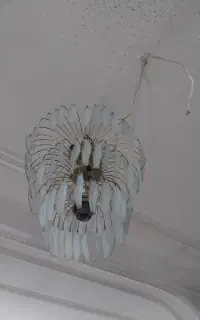 آباژور سالم