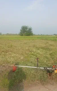 علف تراشی
