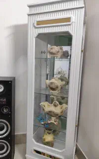 گنجه در حد نو