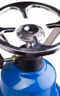 پکنیک پیدا شده