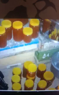 عسل