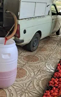 آبگیری گوجه وخورد کردن سبزی در محل ارزان