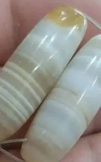 مهره