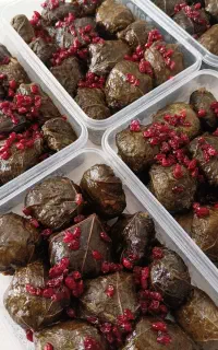 فینگرفودآماده ونیمه آماده
