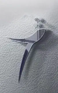 مشاور‌مالی و مالیات