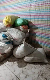 کود کبوتر