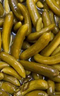 عرضه مستقیم خیارشور همدان بدون واسطه