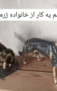 سگ ژرمن برنز برنزی