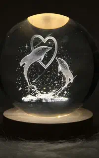 شب خواب طرح دولفین