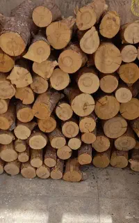 هیزم فروشی