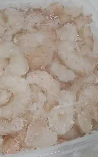 میگو سرتیز درشت