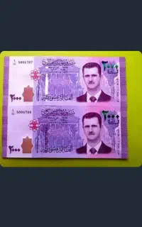 کلکسیونی