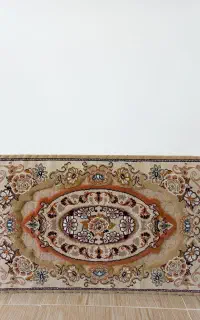 چهار عدد پشتی