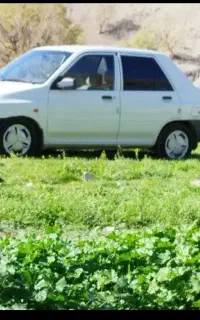 سرویس میشم