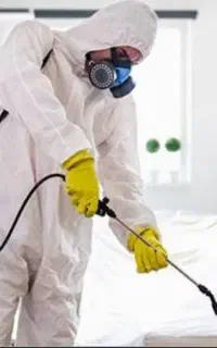 سمپاشی دریک مرحله تضمینی،سم پاشی ساس سوسک موش کنه