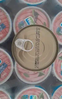 تن ماهی مکنزی