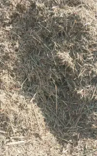 فروش یونجه حرده