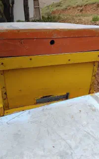 کندوی زنبورعسل