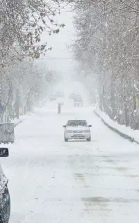 دنبال کار میگردم