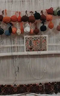 قالی