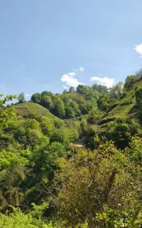 سرمایه گذاری و مشارکت در ساخت