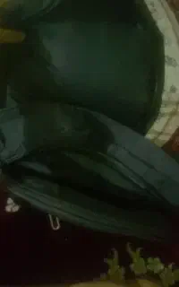 کیف