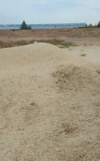 آذوقه تازه علف باغی کوبیده