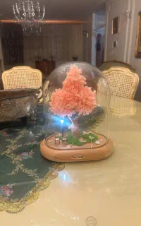 گل ماندگار