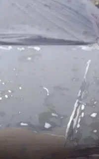 نقاشی ماشین  نقاشی اتومبیل رنگ کاری اتومبیل رضایی