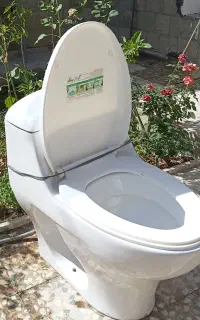 توالت فرنگی