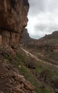 نیازمند به چوپان