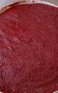 رب خانگی درجه یک