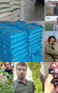 ((فروش کود)) فیلم آگهی رو کامل ببینید