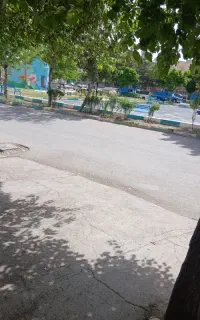 نیروی کار در کارواش