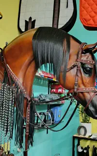 لوازم سوارکاری تکسوار