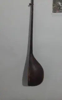 دوتار خوش صدا