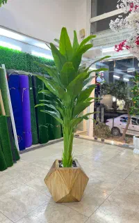 پرنده بهشتی