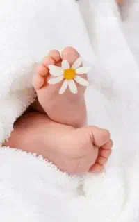 عکاسی و فیلمبرداری تولد و مجالس
