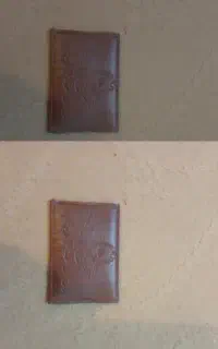 مدارک من گمشده بنام محمود آلفونه