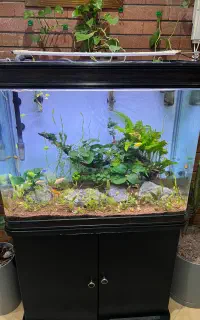 اکواریومk800