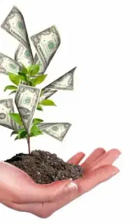 هرچی میخوای اقساطی بخر