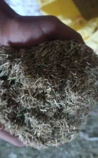 باسلام 2تن خاردریجه یک فروشی