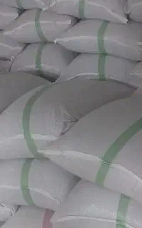 تخمه آفتابگردان